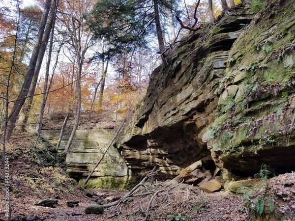 Obraz Rocky forest in fall