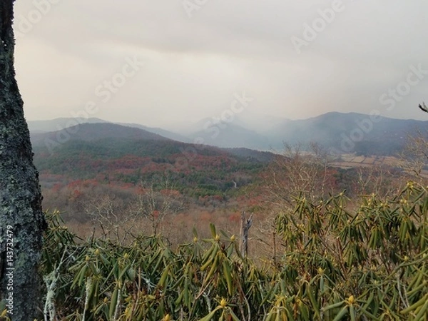 Obraz Smoky mountains