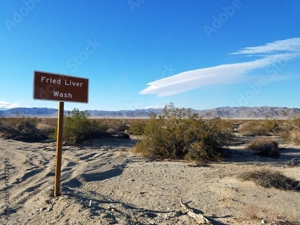 Obraz Desert sign