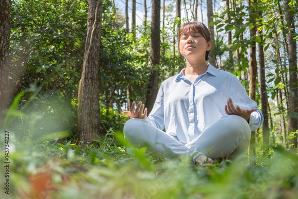 Obraz A young asian woman wearing a long-sleeve collared shirt and denim jeans pants is meditating and sitting on the grass in a lush pine forest in the morning.