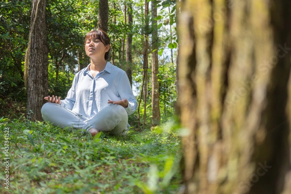 Obraz A young asian woman wearing a long-sleeve collared shirt and denim jeans pants is meditating and sitting on the grass in a lush pine forest in the morning.