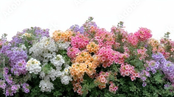 Fototapeta Beautiful composition showcasing an array of vibrant flowers, showcasing nature's artistry and color.