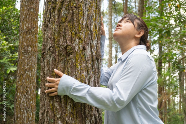 Obraz A Happy young asian woman wearing a long-sleeve collared shirt is hugging large pine tree trunk in a lush pine forest.