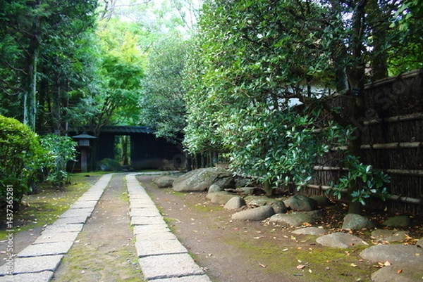 Fototapeta 日本家屋に通じる通路
