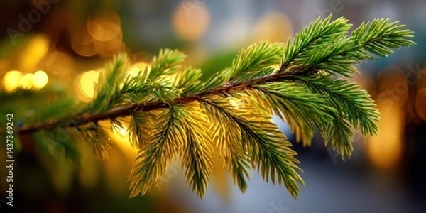 Fototapeta Close-up of a pine branch with warm golden light