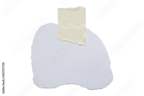 Fototapeta various pieces of masking tape isolated with clipping path on a white background.