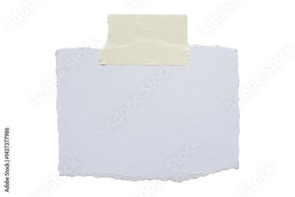 Fototapeta various pieces of masking tape isolated with clipping path on a white background.