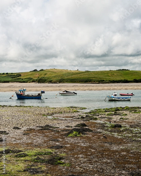 Obraz On an overcast day at Middle Ring Bay Beach in Ireland, several boats are anchored in shallow water surrounded by greenery. The unique landscape features a mix of textures and hues.