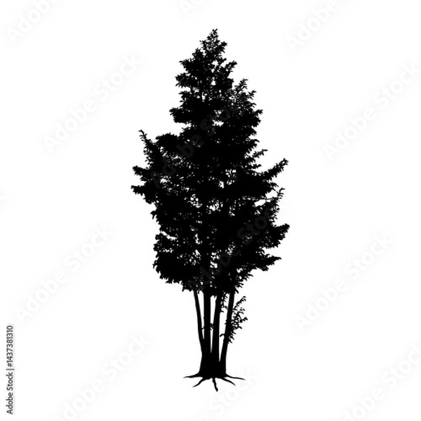 Fototapeta Tree silhouette. Vector illustration.
