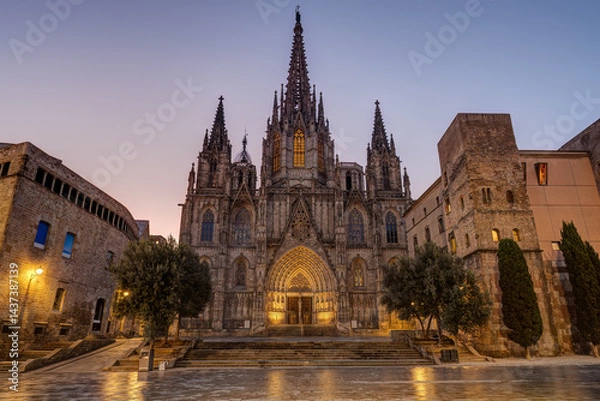 Fototapeta The Barcelona Cathedral with no people at dawn