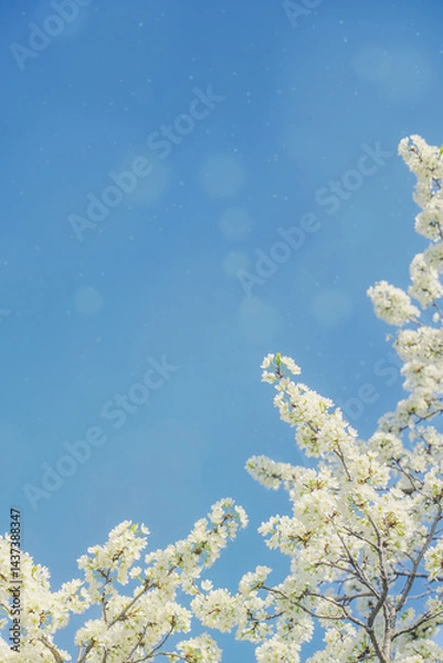 Obraz Beautiful spring blooming tree against the background of a clear sunny sky