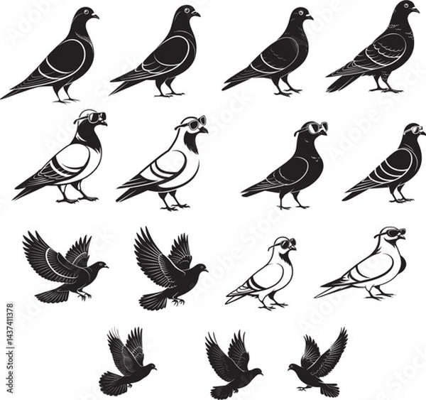 Fototapeta Pigeon Vector file 