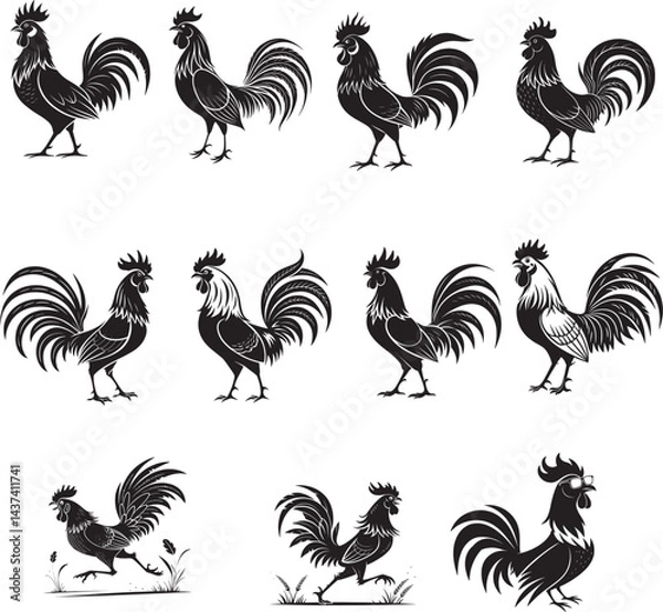 Obraz rooster and hen