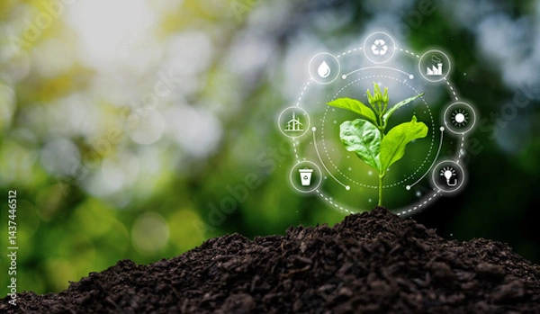 Fototapeta Young seedling on growing soil pile with environment icons. Concept of ecology and environmental conservation.