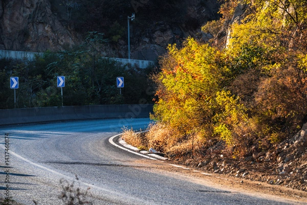 Obraz Autumn Mountain Road Winding Path