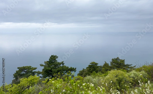 Fototapeta seascape with soft cloudy sky and lush green trees in the foreground. minimalistic natural sea background with space for text