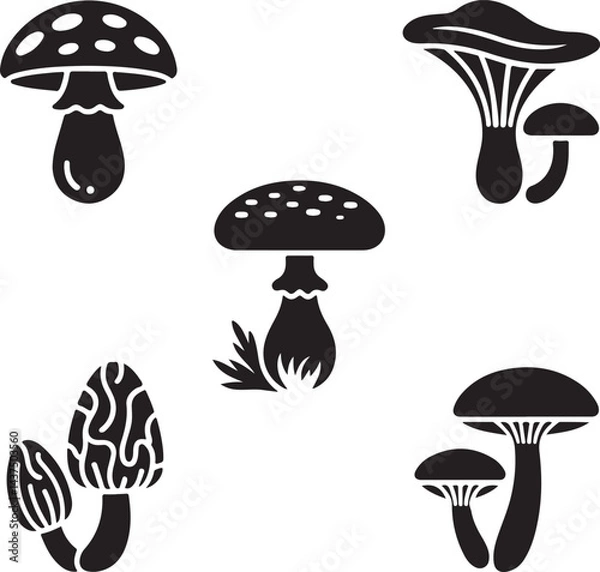 Fototapeta set of mushrooms A set of five distinct mushroom icons