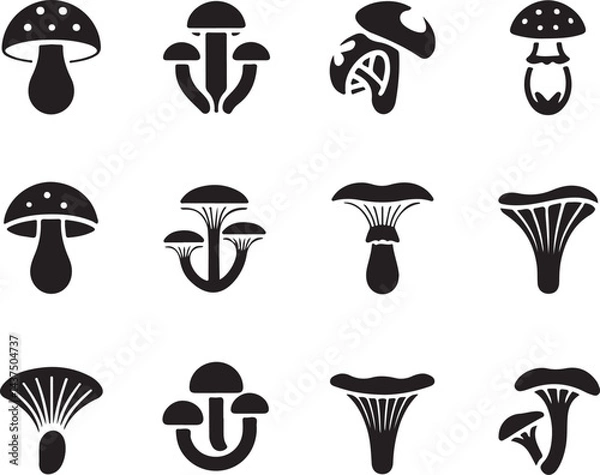 Fototapeta vector illustration of mushrooms A set of five distinct mushroom icons