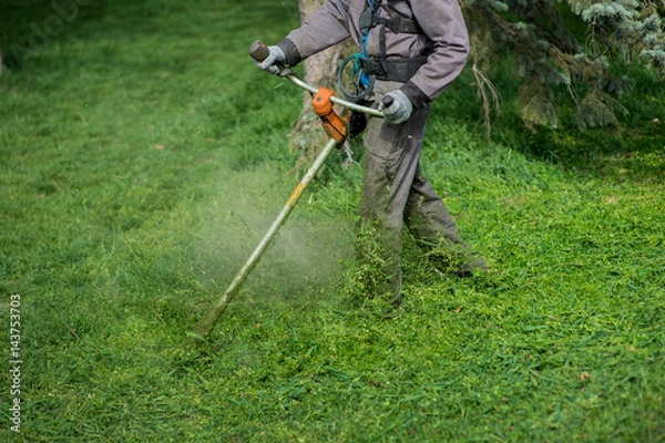 Obraz Workers mow the grass