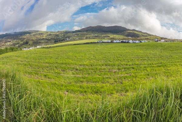 Obraz Pâturages de la Grande Ferme, Bourg-Murat, île de la Réunion 