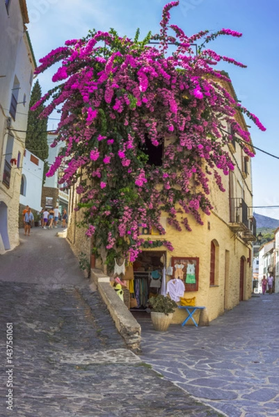 Obraz Ruelles de Cadaqués, Espagne 