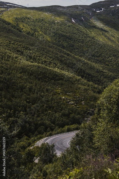Obraz Norwegian mountain canyon road with a sharp bend where black lines from car tires are visible on the asphalt. Green trees all around.