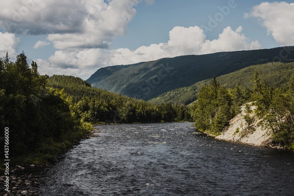 Obraz Norwegian fishing river Hallingdalselva with green forest in the background against blue sky