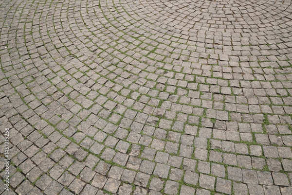 Fototapeta texture stones, pebbles, rock wall seamless pattern. round circle background of rocky road or floor, cobble pavement material textured surface, graphic design templates for landscaping,