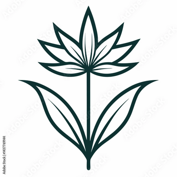Fototapeta vector illustration of a leaf