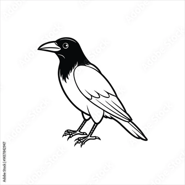Obraz crow vector