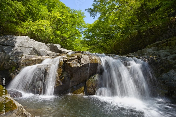 Obraz 新緑の夏井川渓谷