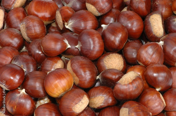 Fototapeta chataigne