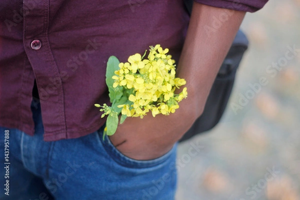 Fototapeta A hand is half inside the pocket and mustard flower background blur