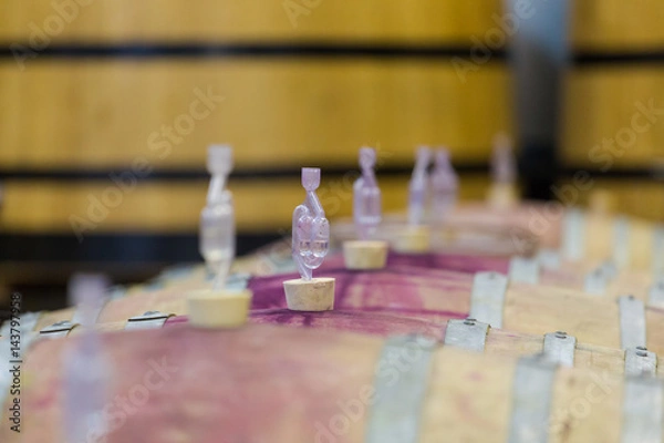Obraz The process of making wine in a winery in south africa