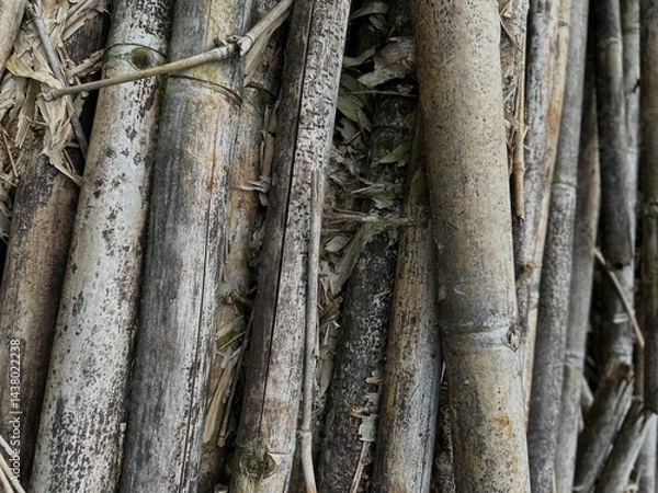 Obraz pile of old bamboo