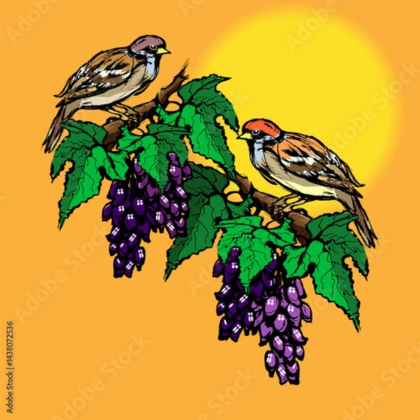 Fototapeta Two beautiful birds are sitting on the vine. Large clusters of ripe grapes covered with leaves. Sketch on a bright orange background. Vector illustration