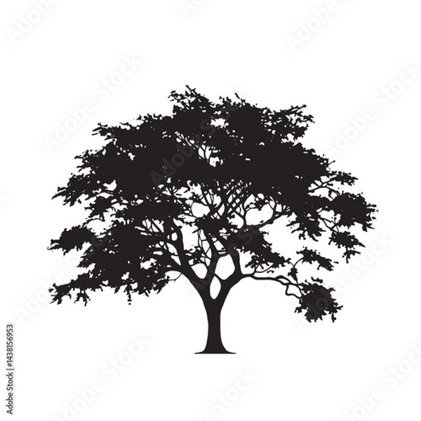 Fototapeta Isolated Neem Tree Silhouette Artwork
