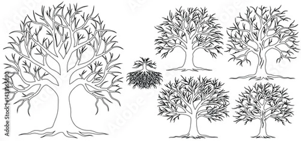 Fototapeta Minimal style cad tree line,  set of graphics trees elements outline symbol for architecture and landscape design drawing. Vector illustration
