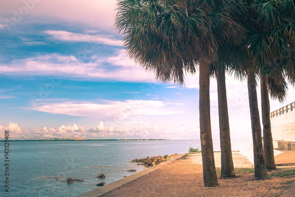 Fototapeta vintage palm background on the Atlantic ocean shore with a coastline and grass on a beach.  Rickenbacker Causeway in Key Biscayne in Miami. Florida. USA