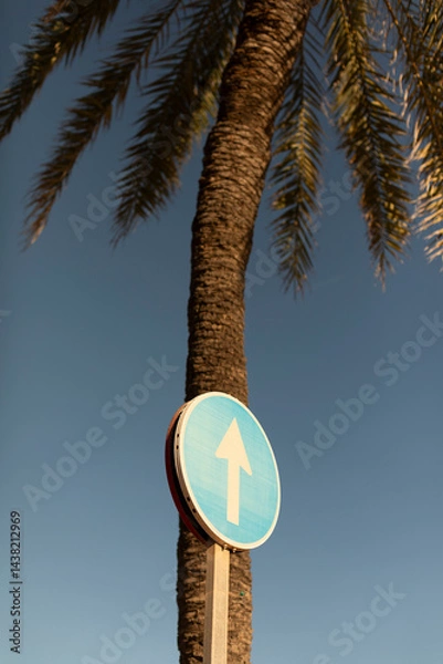 Obraz Direction road sign superimposed on the trunk of a palm tree, seems to point towards the blue sky of sunset, Spain
