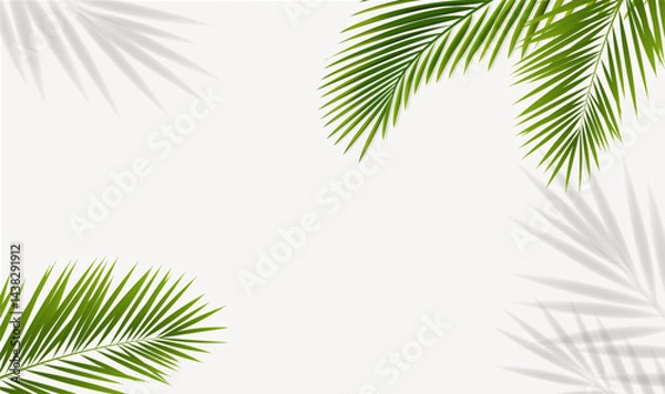 Fototapeta Eco Frame With Green Palm Tree Leaves