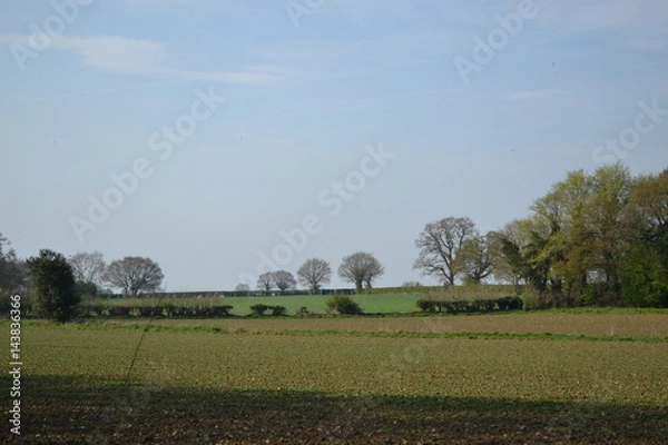 Obraz countryside fields norfolk