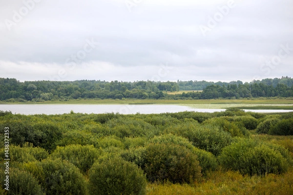 Fototapeta 
A vast landscape with a swamp covered in low bushes and grass in the foreground, behind which a calm body of water stretches out and a forest can be seen further under a cloudy sky.