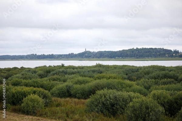 Fototapeta 
A vast landscape with a swamp covered in low bushes and grass in the foreground, behind which a calm body of water stretches out and further on a forest with a building tower on the horizon under a c