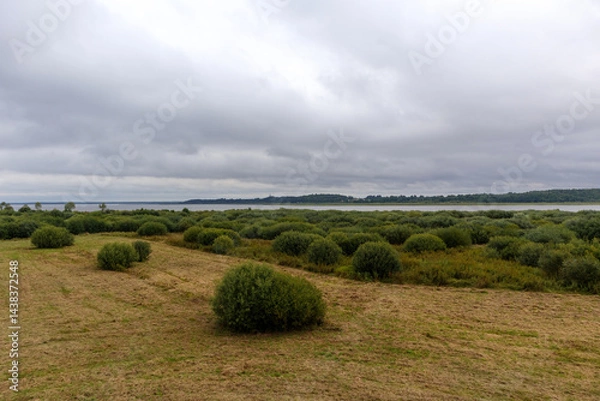 Fototapeta 
A vast landscape with a low shrub and grass-covered swamp in the foreground, a calm body of water and a forest on the horizon under a cloudy sky.