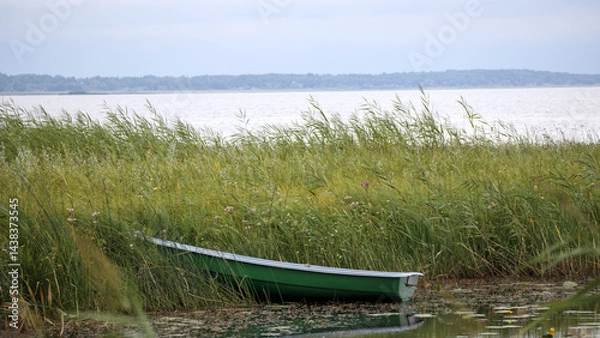 Fototapeta 
a small, green boat with a white interior, located partly in the water and partly in the tall grass near the shore of a body of water.