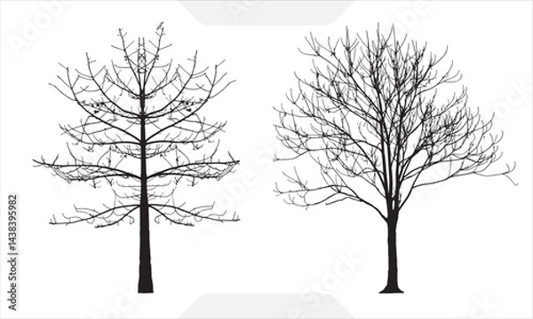 Fototapeta Tree Silhouette Isolated vector artwork, dead tree