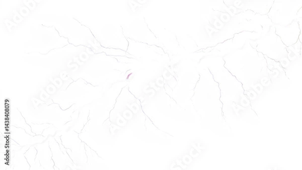 Obraz electricity lightning isolate background blue color electricity lightning