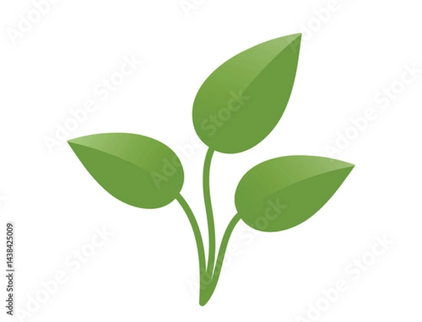 Obraz Green plant sprout with three stems illustration. Spring, planting and nature design element. Isolated vector image