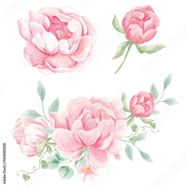 Fototapeta Watercolor Peonies, Png clipart, Peony flowers clipart, Romantic, Spring floral clipart, Wedding invite card, Blush Peony, Pink
